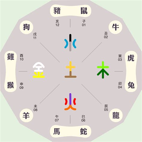 五行 辰|八字十二地支详解——辰